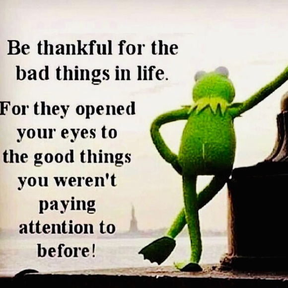 Meet your Posher, Rena’ - Picture 3 of 8